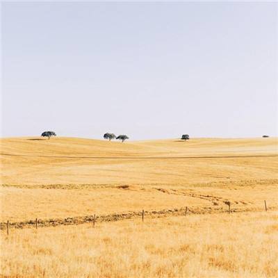 乡村行·看振兴丨内蒙古乌兰察布：生态治理让乡村添“颜值”农民增收入